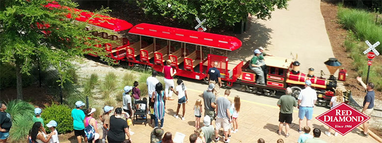 Red Diamond Zoo Train