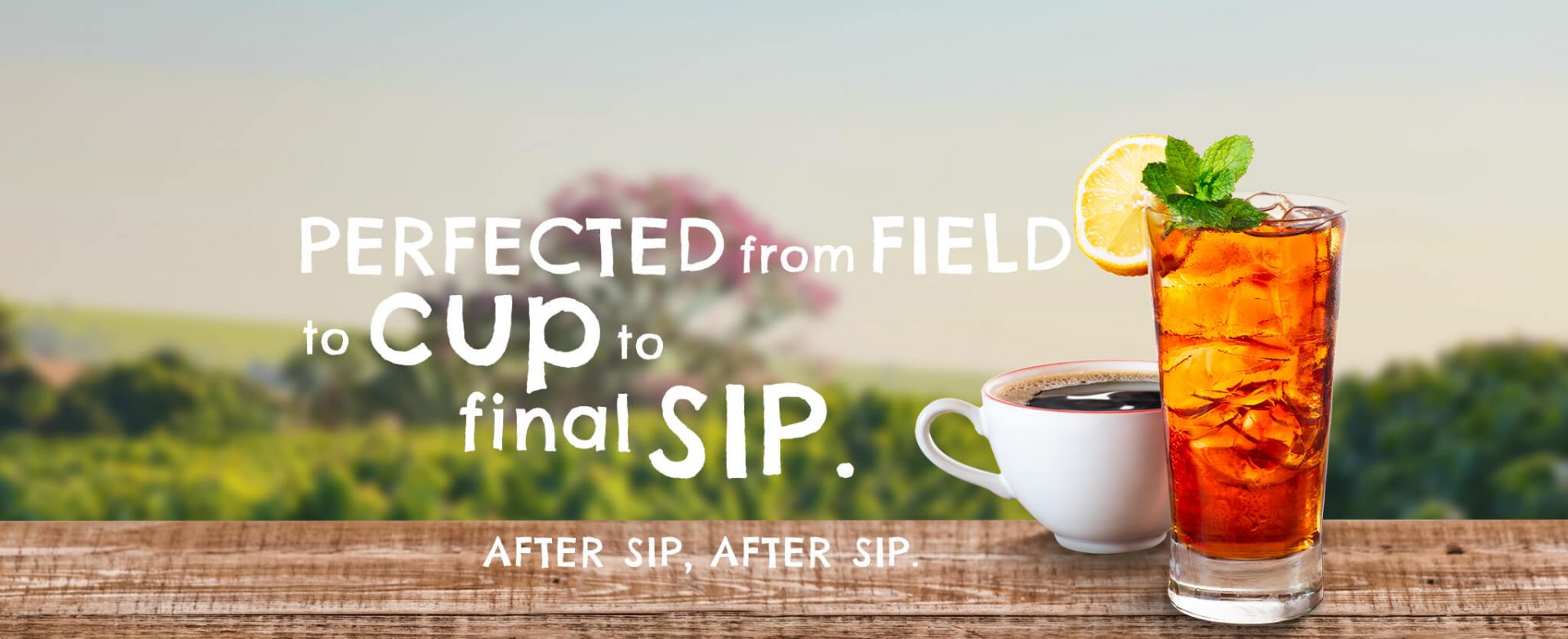 Coffee and Tea Supplier for All Industries