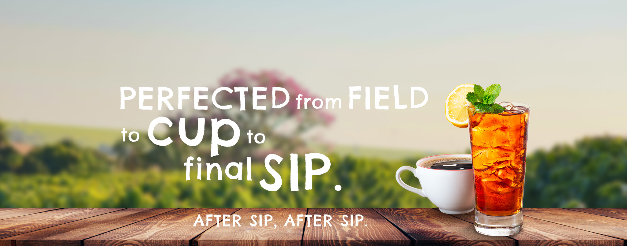 Quality Coffee and Tea Products from Red Diamond Coffee